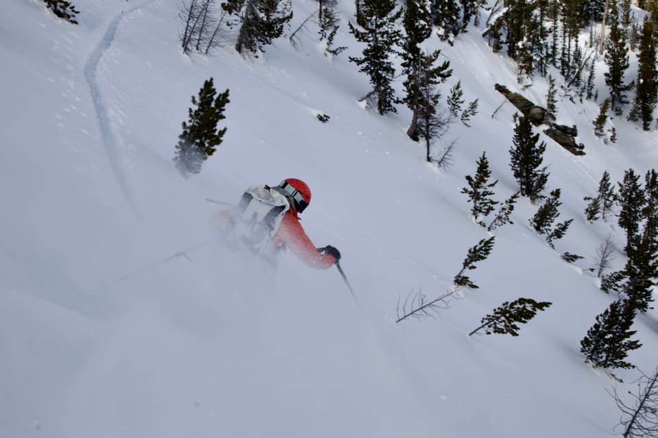 The Mountain Ear, December 2025