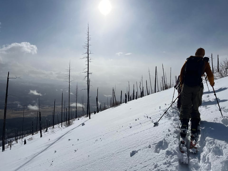 Ward Mountain BC Ski - February 15, 2026